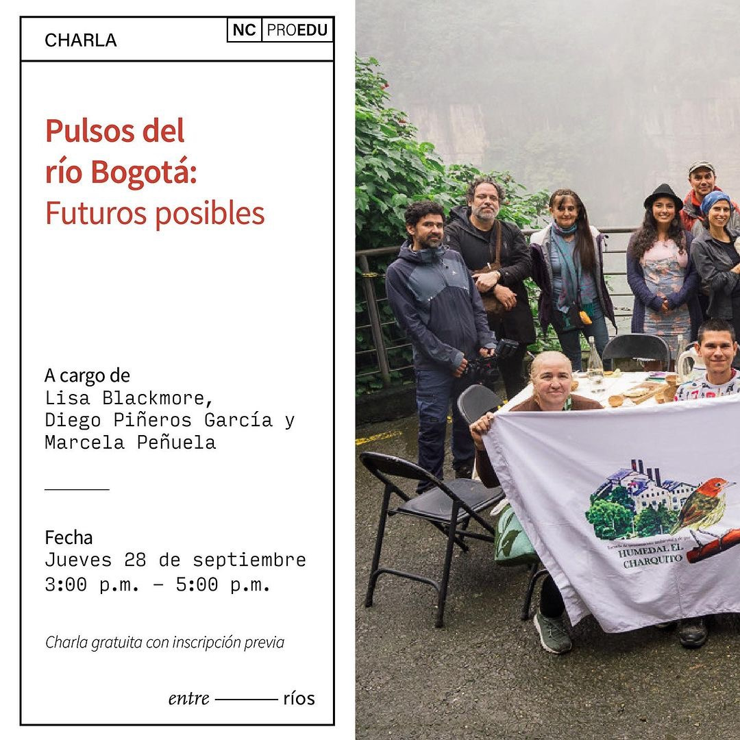 PROGRAMA PÚBLICO
