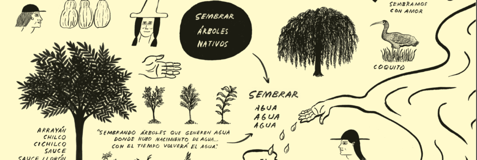 Hand drawn illustrations of river ecosystem
